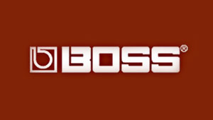 Effects pedals by Roland/BOSS US