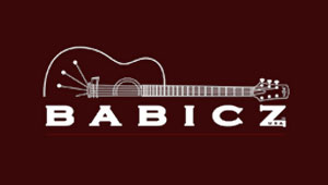 Acoustic guitars by Babicz Guitars